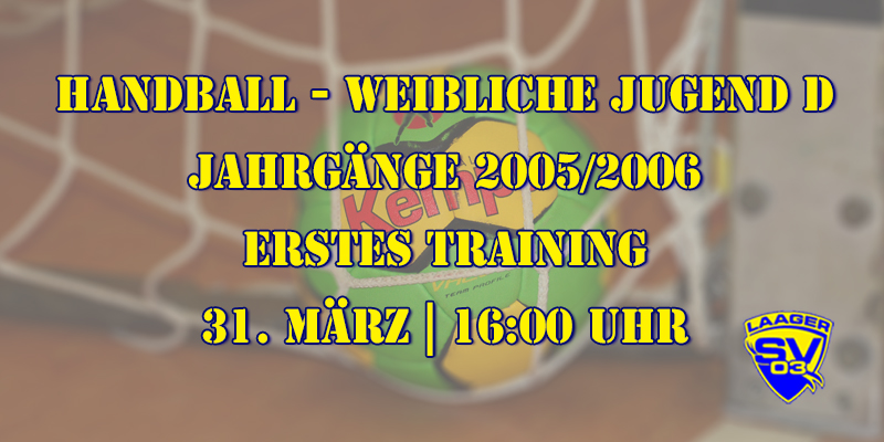 Handball weibliche Jugend D - Laager SV 03