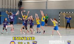 Schwaaner SV - Laager SV 03 Handball wJD