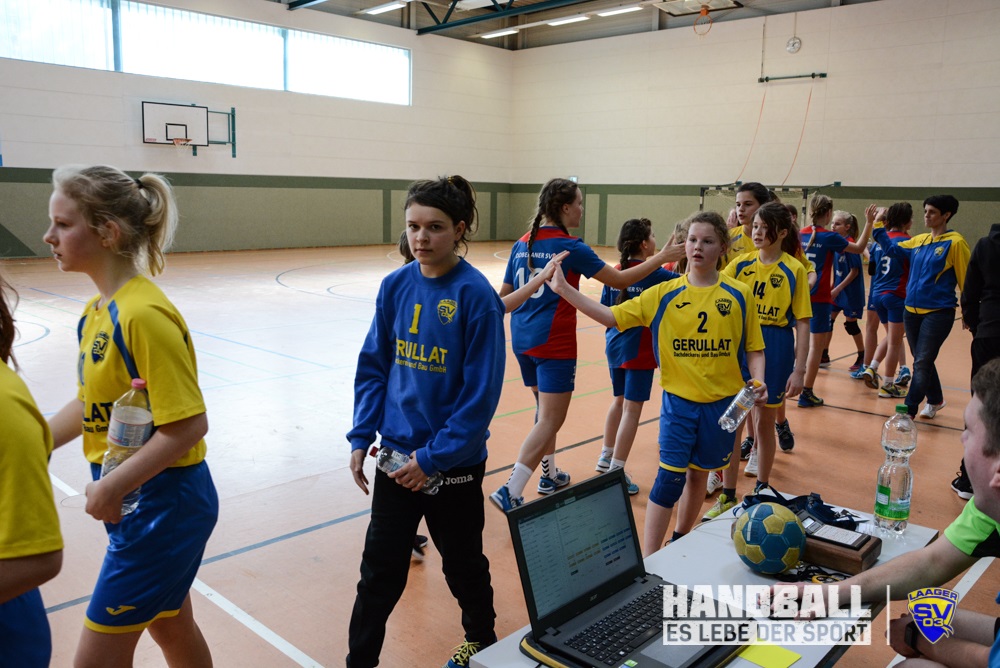 Laager SV 03 Handball wJD - Doberaner SV