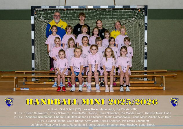 Laager SV 03 Mini - 2025/2026